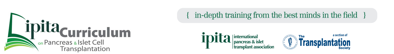 IPITA Curriculum